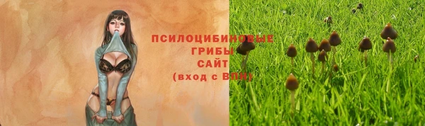 тгк Михайловск