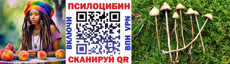 Галлюциногенные грибы мицелий  Дзержинский 