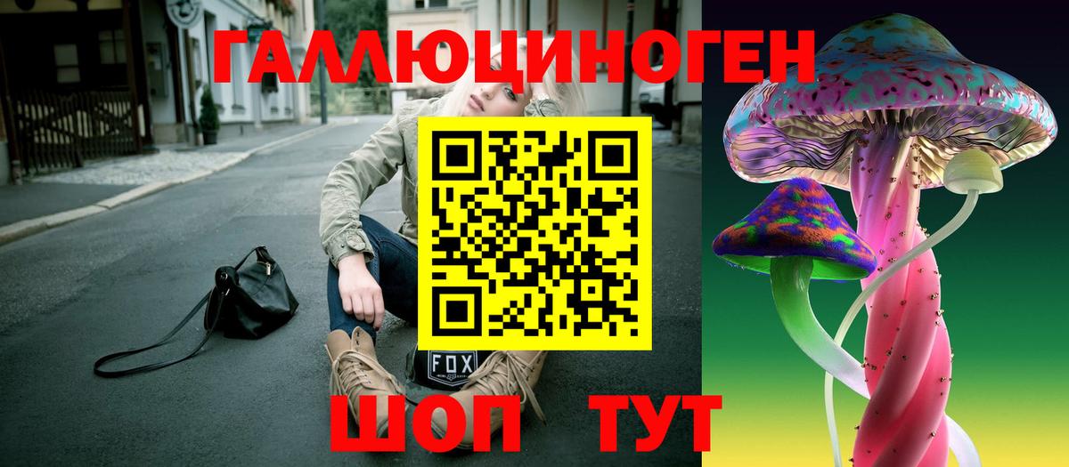 Псилоцибиновые грибы Psilocybine cubensis Дзержинский
