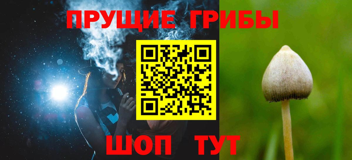 Псилоцибиновые грибы ЛСД  Дзержинский  Псилоцибиновые грибы прущие грибы 