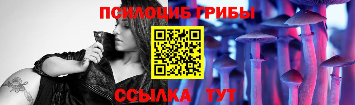 Дзержинский  Псилоцибиновые грибы Psilocybine cubensis  Псилоцибиновые грибы Psilocybine cubensis  Вход с VPN 